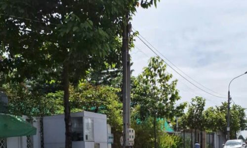 BÁN ĐẤT MẶT TIỀN DT768 LAVENDER TÂN TRIỀU